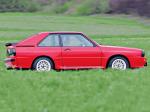 Audi Sport Quattro 1984 года (WW)